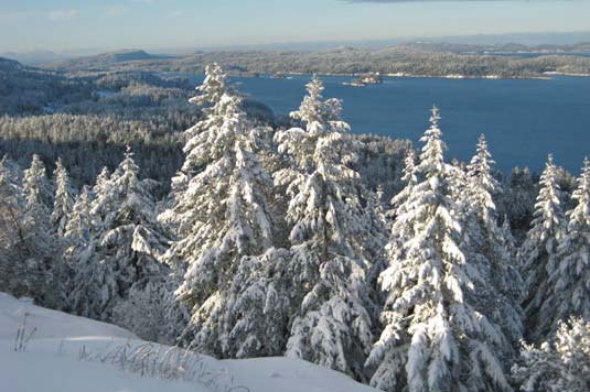 Snow covered fir trees and the  harbour below, Salt Spring Island 